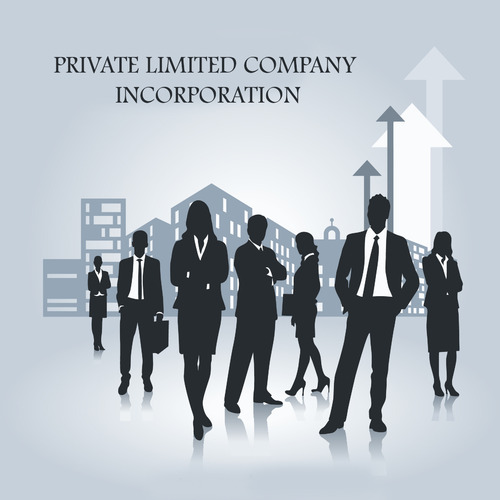 What is a Private Company Limited by Shares?