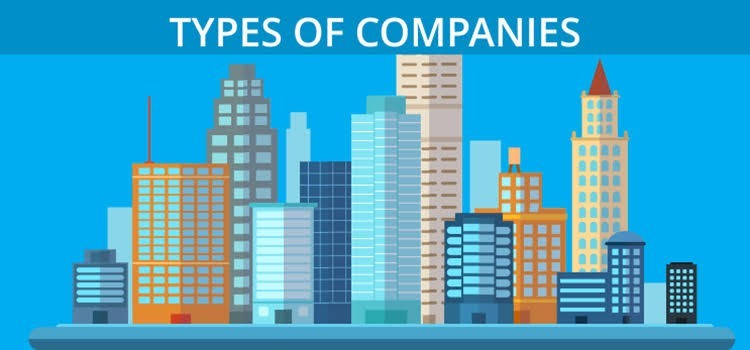 Types of Companies recognized under CAMA 2020