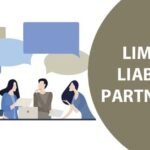 Kinds of Limited Liability Partnership (LLP) Business