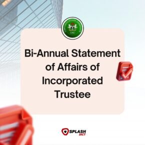 Bi-Annual Statement Of Affairs Of Incorporated Trustee