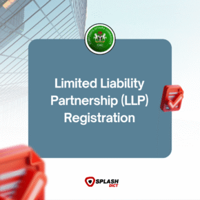 Limited Liability Partnership (LLP) Registration