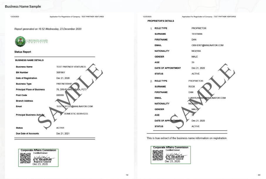 Status Report for Business Name