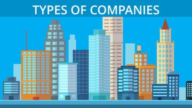 Types of Companies recognized under CAMA 2020
