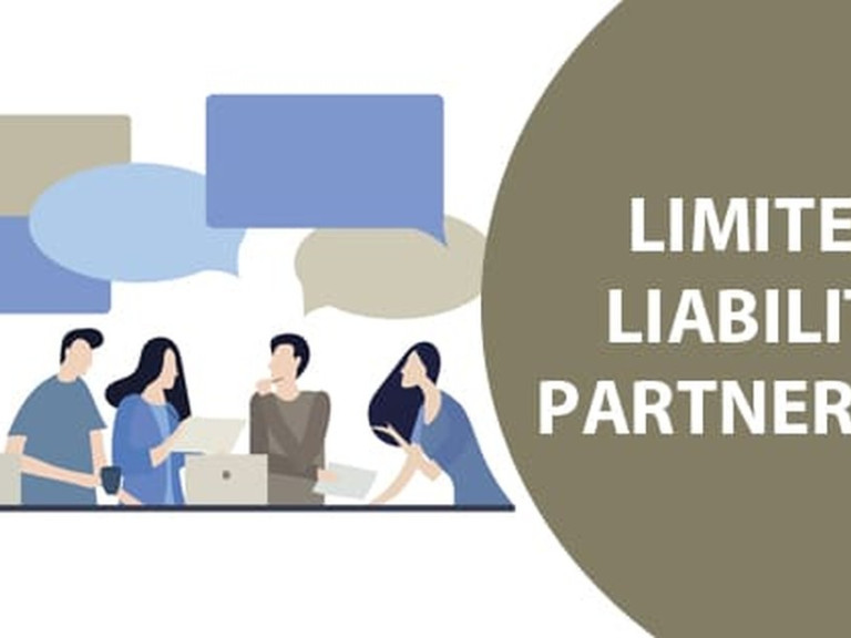 Kinds of Limited Liability Partnership (LLP) Business