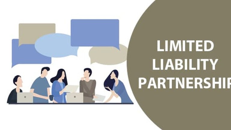 Kinds of Limited Liability Partnership (LLP) Business