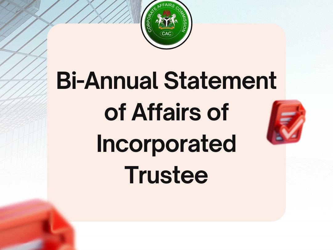 Bi-Annual Statement Of Affairs Of Incorporated Trustee