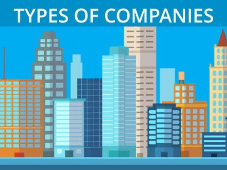 Types of Companies recognized under CAMA 2020